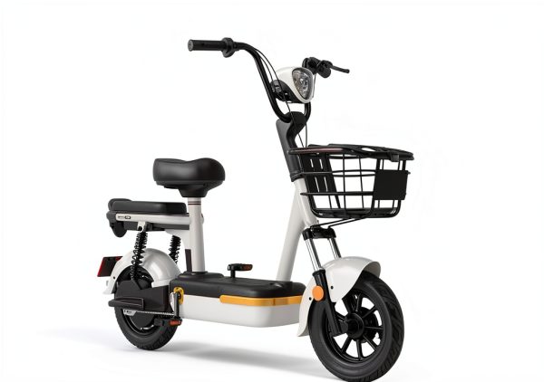 Electric Bike Battery Lock Ragyzity Metal Key-2